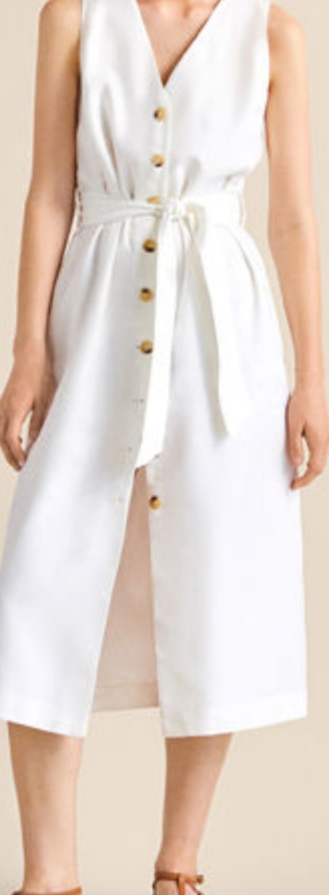 NWT Massimo Dutti dress